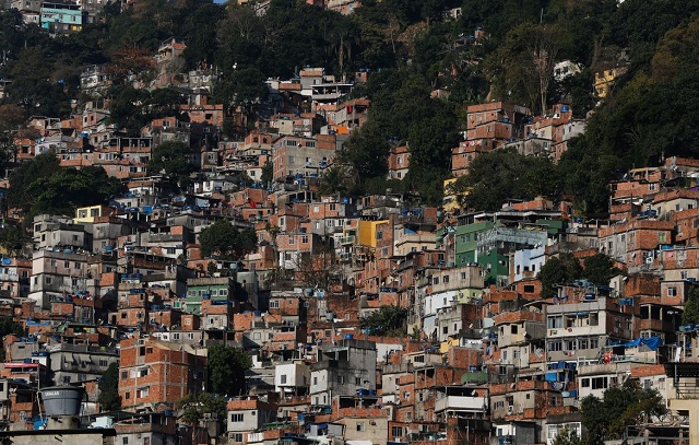Iniciativa leva hortas a lajes da Rocinha para gerar alimento e renda