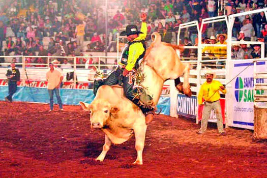 TJ anula leis municipais por tratamento cruel a animais em rodeios