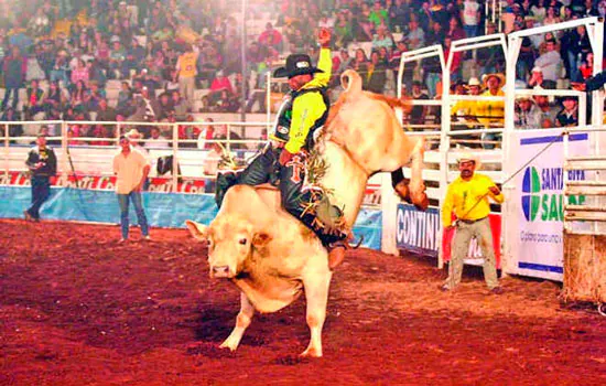 TJ anula leis municipais por tratamento cruel a animais em rodeios