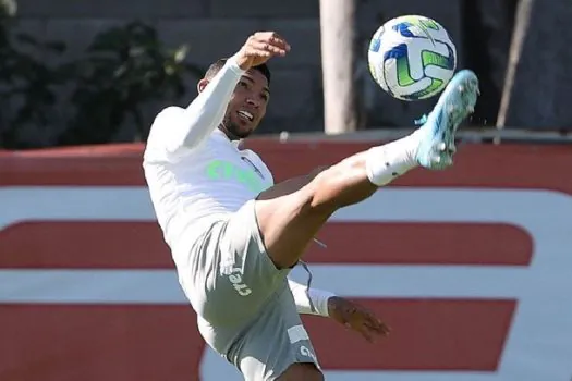 Palmeiras conta com volta de selecionáveis para encurtar distância do Botafogo