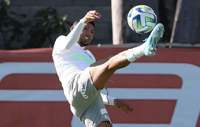 Palmeiras conta com volta de selecionáveis para encurtar distância do Botafogo