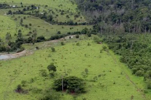 Termina na sexta (29) entrega da Declaração do Imposto Territorial Rural