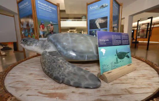 Sabina recebe Exposição Tartarugas Marinhas do Projeto Tamar