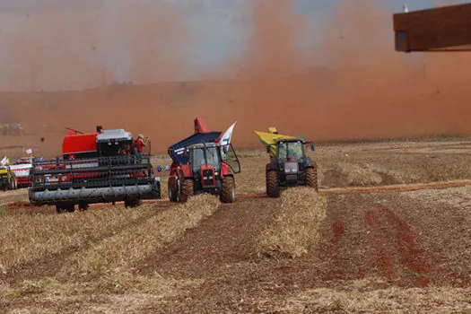 Safra agrícola alcança valor de produção recorde de R$ 343,5 bilhões em 2018, diz IBGE