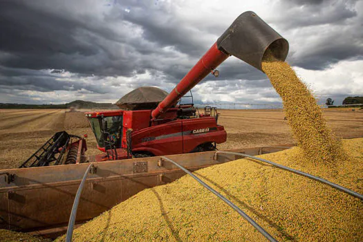 Governo de SP lança linha de crédito especial para agricultoras paulistas