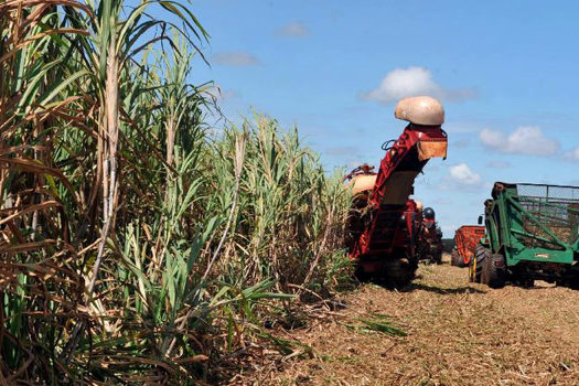 Produção brasileira de grãos na safra 2021/2022 será 5% maior que a do período anterior