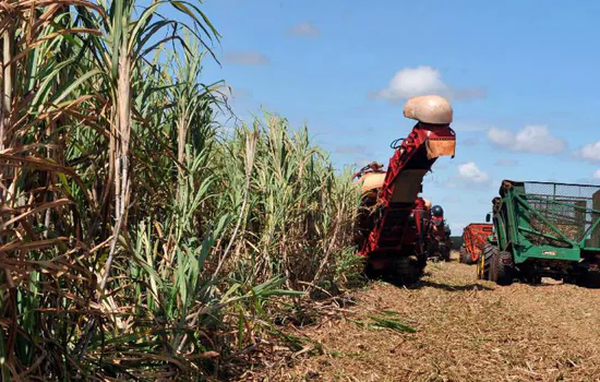 Produção brasileira de grãos na safra 2021/2022 será 5% maior que a do período anterior