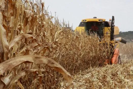 Com safrinha, agronegócio brasileiro alcança novo recorde