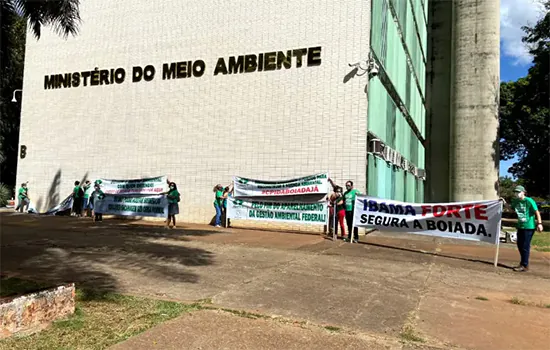 Manifestantes protestam em Brasília contra ‘boiada’ de Salles