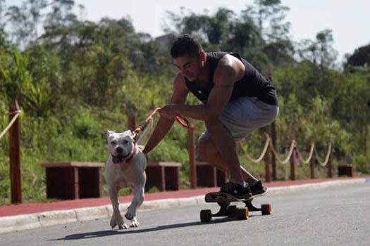 Em Ribeirão Pires, Rua Salvador Ripoli ganha novo espaço para lazer