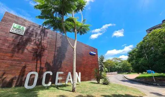 Samsung Ocean promove cursos gratuitos de Programação em novembro