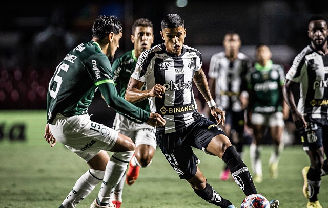 Palmeiras defende tabu e quer empurrar Santos para turbulência no Brasileirão
