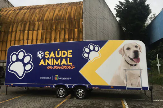 Programa Saúde e Bem-Estar Animal de São Caetano realiza mais de 75 microchipagens