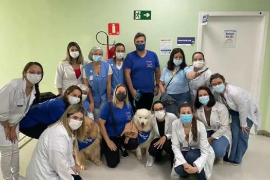 Terapia com animais humaniza tratamento dos pacientes oncológicos