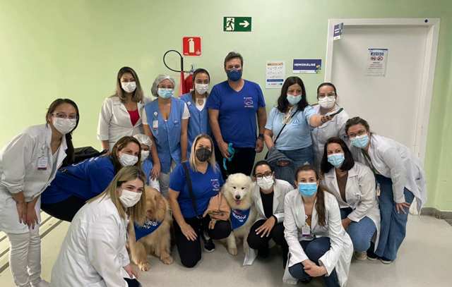 Terapia com animais humaniza tratamento dos pacientes oncológicos