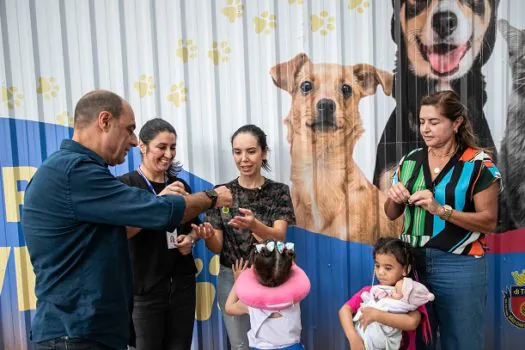 São Caetano distribui medalhas para localização de animais perdidos