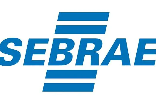 Sebrae e Magalu fecham parceria para ajudar os pequenos negócios