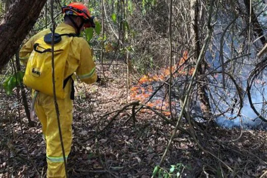 Soltura de balão agrava risco de incêndios florestais durante período de seca