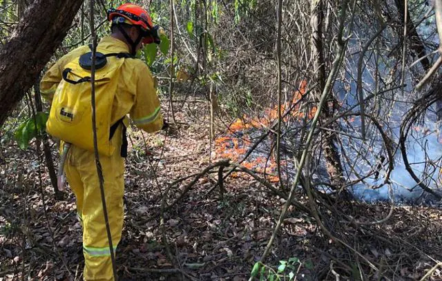 Soltura de balão agrava risco de incêndios florestais durante período de seca