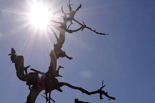 Com temperaturas elevadas, meteorologia alerta para riscos da seca em seis estados e no DF