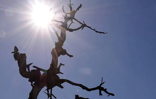 Com temperaturas elevadas