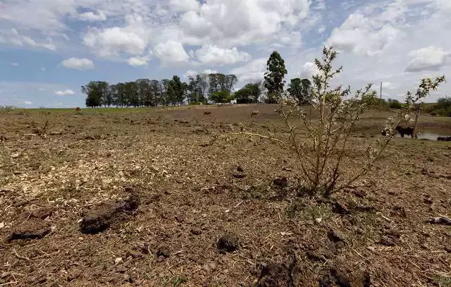 Defesa Civil realiza oficina preparatória para Operação Estiagem