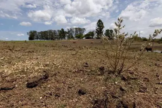 SP tem liberação recorde de recursos para produtores afetados pela estiagem