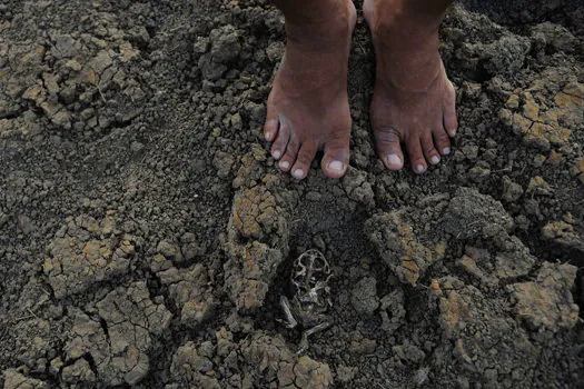 Governos estudam ações para diminuir efeitos da seca no Piauí