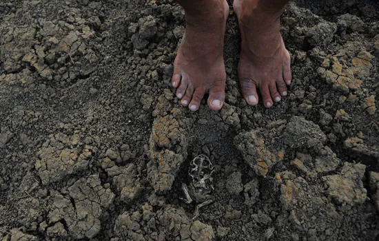 Governos estudam ações para diminuir efeitos da seca no Piauí