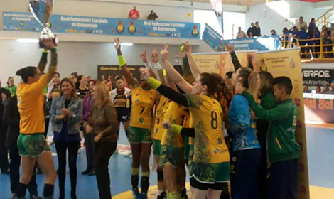 Brasil bate Espanha e é campeão de torneio de handebol