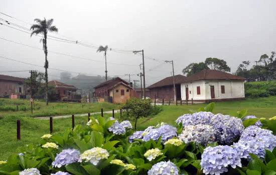 Semasa realiza encontro para discutir metodologias e projetos de educação ambiental