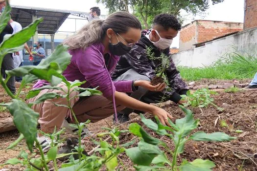 Semasa beneficia escolas de Santo André com implantação de hortas