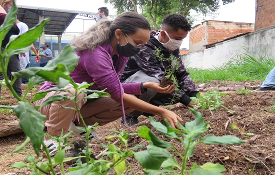 Semasa beneficia escolas de Santo André com implantação de hortas