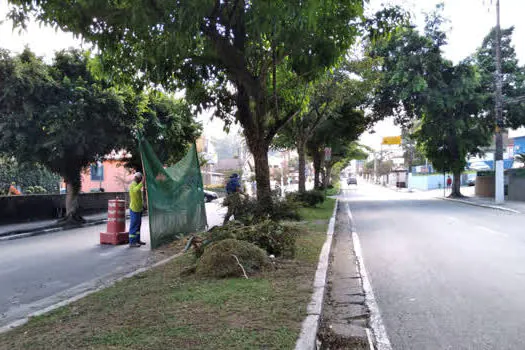 Ribeirão Pires intensifica zeladoria na avenida Francisco Monteiro