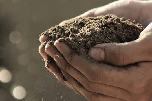 Sesc lança Caminhos da Agricultura no ABCDMRR