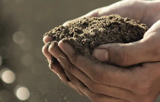 Sesc lança Caminhos da Agricultura no ABCDMRR