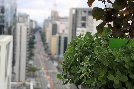 Sesc Avenida Paulista traz a atividade “Minimutirão: Preparar, Plantar e Colher”