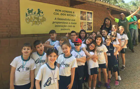 Projeto educacional promove desenvolvimento de habilidades