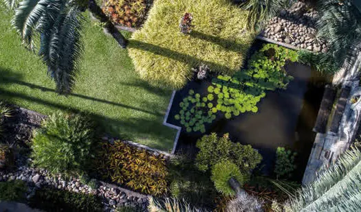 Sítio Roberto Burle Marx recebe título de Patrimônio Mundial da Unesco