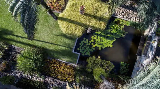 Sítio Roberto Burle Marx recebe título de Patrimônio Mundial da Unesco