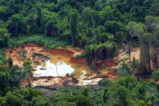 Mulher é encontrada morta em Terra Indígena Yanomami