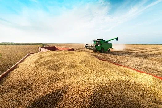 Brasil deve colher menos soja, mas produção de trigo e de milho deve ser recorde