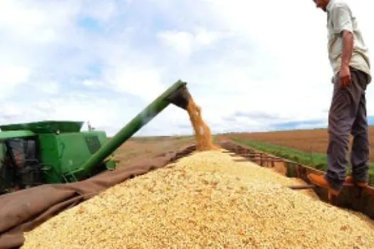 Brasil retoma posto de maior produtor de soja do planeta