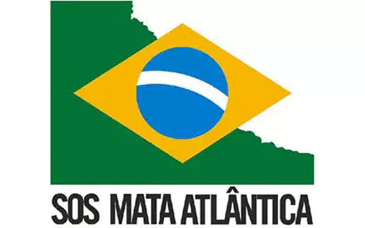 Fundação SOS Mata Atlântica divulga ranking dos municípios que mais desmataram em 2020