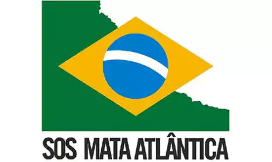 Fundação SOS Mata Atlântica divulga ranking dos municípios que mais desmataram em 2020