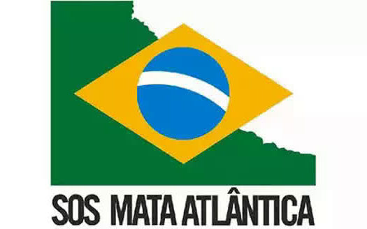 SOS Mata Atlântica abre inscrições para curso “Somos Mata Atlântica”