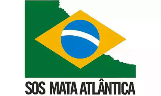 SOS Mata Atlântica abre inscrições para curso “Somos Mata Atlântica”