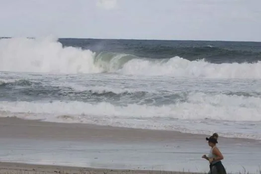 SP Ocean Week 2023 chama atenção para conhecimento dos mares