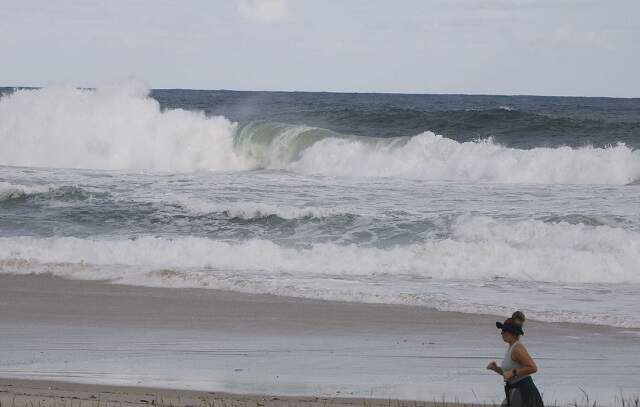 SP Ocean Week 2023 chama atenção para conhecimento dos mares