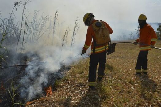 Governo de SP inicia elaboração de plano para ajuda a municípios durante estiagem